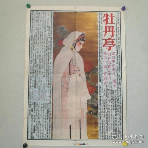 東北工科大学 Computer Science Degree Certificate